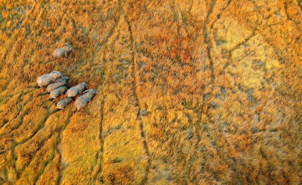 23 Oct - 2 Nov, 2026