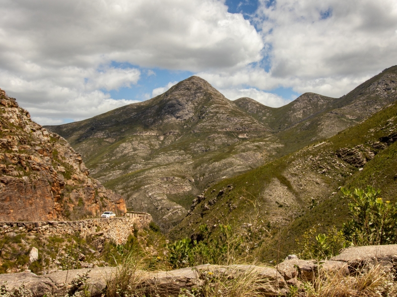 Garden Route | Dalene Matthee's Forest Retreat