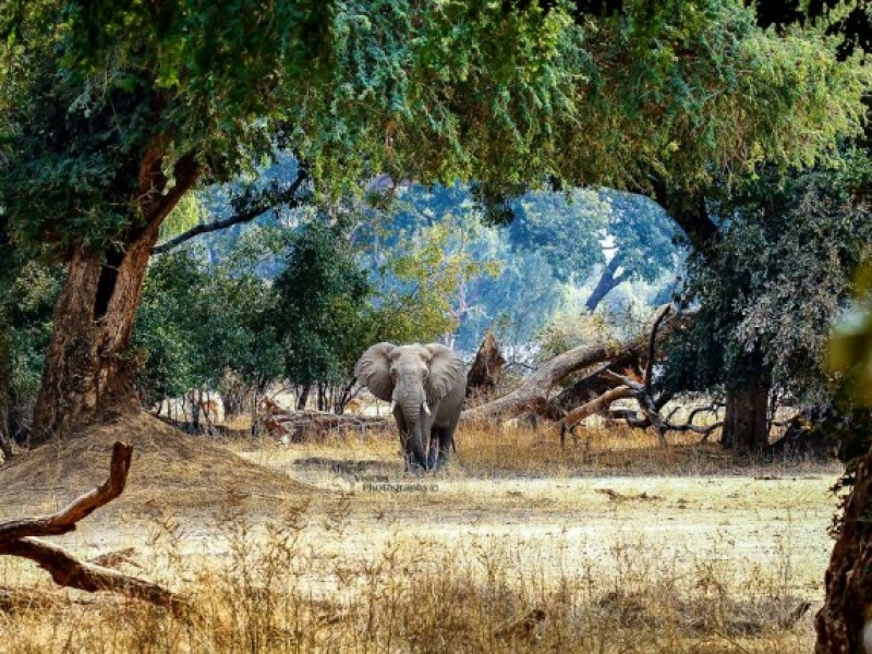 Zimbabwe | Wild Paradise of Africa